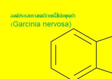 องค์ประกอบทางเคมีจากเนื้อไม้มะพูดป่า (Garcinia nervosa)