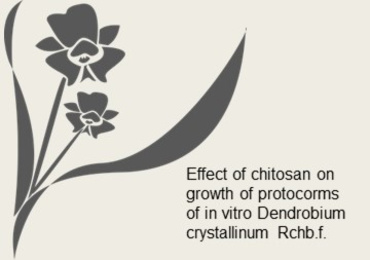 Effect of chitosan on growth of protocorms of in vitro ...