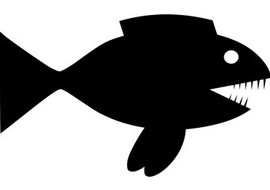 ปลาปิรันยาดำ เป็นปลาที่มีแรงกัดหนักที่สุดในโลก รูปภาพ 1