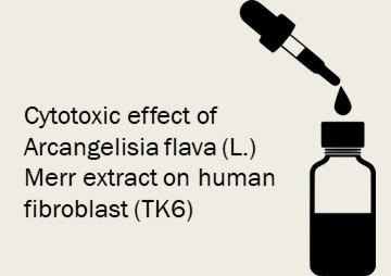 Cytotoxic effect of Arcangelisia flava (L.) Merr extract on ... รูปภาพ 1