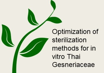 Optimization of sterilization methods for in vitro Thai ... รูปภาพ 1