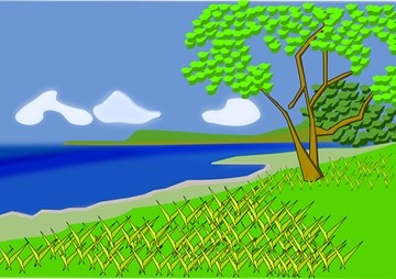 ผลกระทบจากการถูกกัดกินต่อการเติบโตของใบหญ้าทะเลชนิด ... รูปภาพ 1