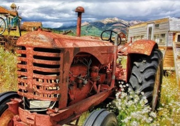 เกมส์ใช้ชีวิตอย่างพอเพียง GAMES FARM