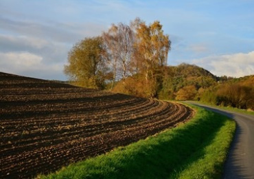 ผลของการทำการเกษตรแบบไร่หมุนเวียนต่อการเปลี่ยนแปลงแทนที่ของสังคมพืชและความอุดมสมบูรณ์ของดิน ...