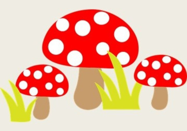 Ecological Factor on Growth of Mushroom genus Phellinus ...