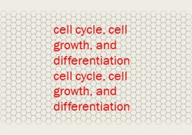 cell cycle, cell growth, and differentiation cell cycle, cell growth, and differentiation