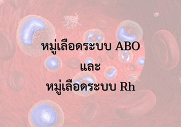 แอนิเมชัน : หมู่เลือดระบบ ABO และหมู่เลือดระบบ Rh