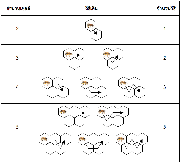 จำนวนวิธีเดินของผึ้ง