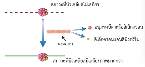 แบบจำลองการสลายของนิวเคลียสที่มีการเปลี่ยนสภาวะไปสู่สภาวะ ที่มีเสถียรภาพมากขึ้นพร้อมกับปล่อยอนุภาคบีตา และอิเล็กตรอนแอนตินิวทริโนออกมา