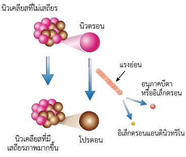 แบบจำลองนิวตรอนเปลี่ยนไปเป็น โปรตอน พร้อมกับปล่อยอนุภาคบีตา และอิเล็กตรอนแอนตินิวทริโน