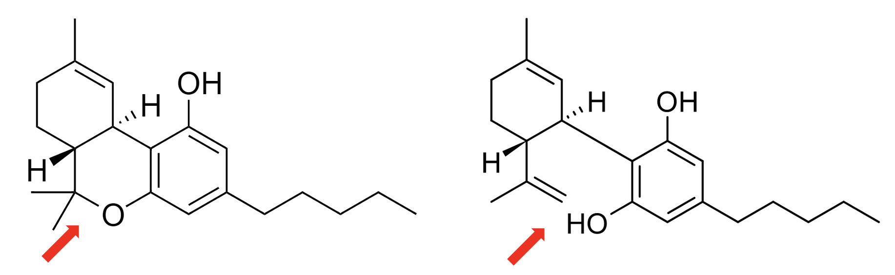 สูตรโครงสร้างเคมีที่แตกต่างกันระหว่าง THC และ CBD