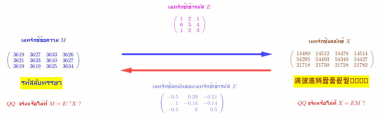 ขั้นตอนการเข้ารหัสและถอดรหัสข้อความ