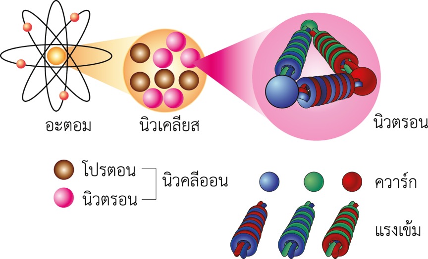 แบบจำลองแรงเข้มที่ยึดเหนี่ยวควาร์กในนิวตรอน