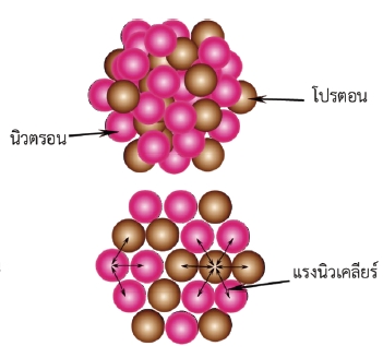 นิวคลีออนในนิวเคลียสและแรงนิวเคลียร์กระทำระหว่างนิวคลีออน