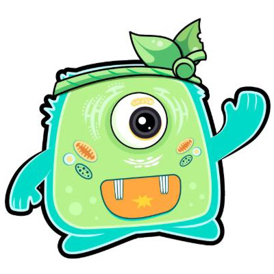 MathMeow (แมทเมี้ยว)