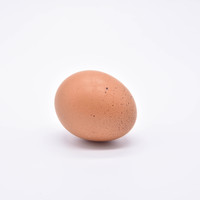 ไข่ไก่ รูปภาพ 1