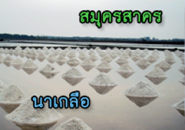 แหล่งเรียนรู้นาเกลือ พารามิเตอร์รูปภาพ 1