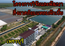 แหล่งเรียนรู้โครงการศึกษาวิจัยและพัฒนาสิ่งแวดล้อมแหลมผักเบี้ย ... พารามิเตอร์รูปภาพ 1