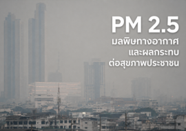 PM 2.5 มลพิษทางอากาศ และผลกระทบ ต่อสุขภาพประชาชน พารามิเตอร์รูปภาพ 1