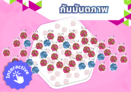สื่อ interactive เรื่อง กัมมันตภาพ พารามิเตอร์รูปภาพ 1