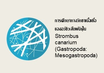 การศึกษาทางวิทยาเนื้อเยื่อของอวัยวะสืบพันธุ์ใน Strombus cana ... รูปภาพ 1