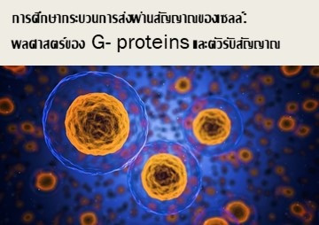การศึกษากระบวนการส่งผ่านสัญญาณของเซลล์: พลศาสตร์ของ G- ... รูปภาพ 1