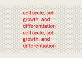 cell cycle, cell growth, and differentiation cell cycle, ... รูปภาพ 1