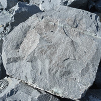 หินแอนดิไซต์ (Andesite) รูปภาพ 3