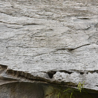 หินปูน (limestone) รูปภาพ 6